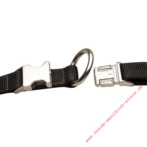 traditional nylon collar with metal buckle for Malinois Shepherd