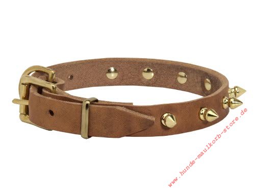 Fleischfarbiges Hundehalsband Leder mit golden Stacheln kaufen