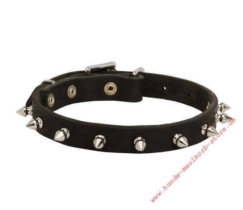 Hundehalsband Leder mit Stacheln Nieten