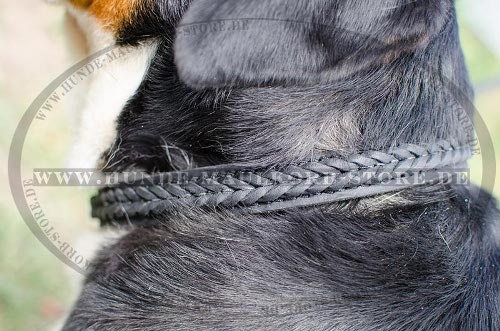 Sennenhund Hundehalsband Leder mit Zöpfdesign