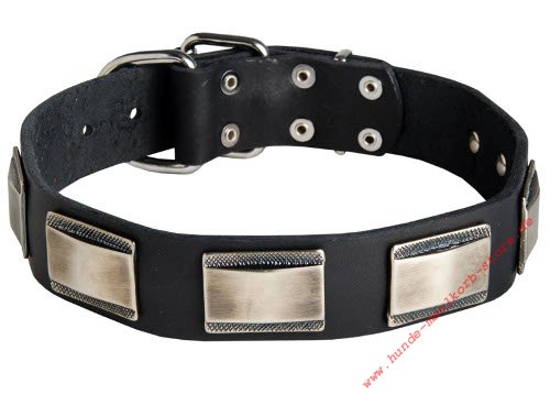 vernickelte Platten 
Halsband