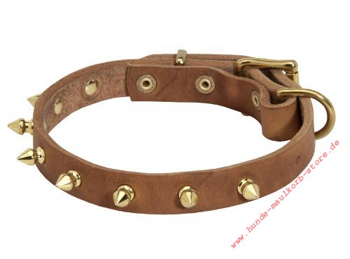 Hundehalsband Leder mit Nieten kaufen