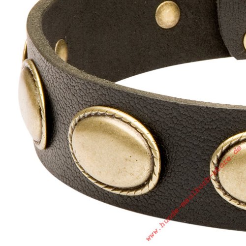 Vintage Design Hundehalsband aus Fettleder mit Ellipsen für
Malinois