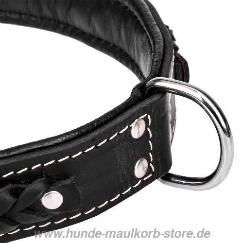 
 Hunde Halsband Breit