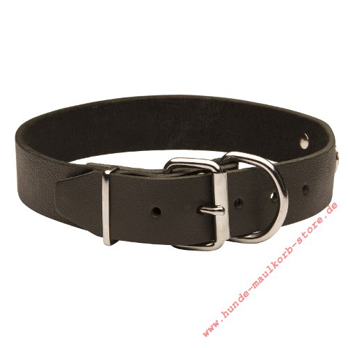 Sennenhund Halsband kaufen