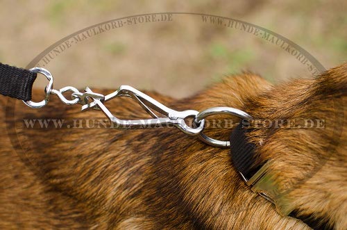 Malinois Hundehalsband Nylon für Training mit Metallverschluss