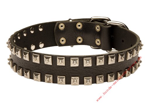Hundehalsband für großen Hund kaufen