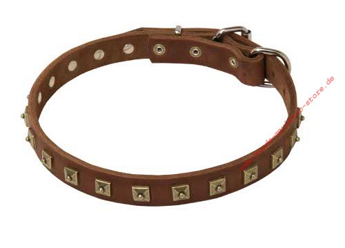 Design Hundehalsband aus Leder mit Nieten für
Sennenhunde