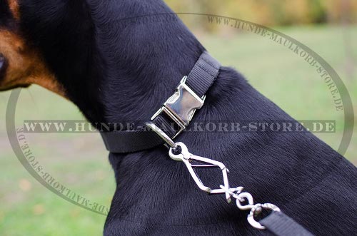 Dobermann Hundehalsband Nylon für Training