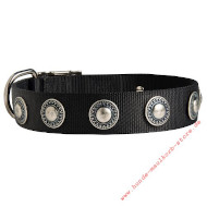 Decorative Dog Collar, Nylon with Silver Conchas