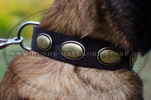 Design Hundehalsband aus Leder mit grossen Ellipsen für
Malinois