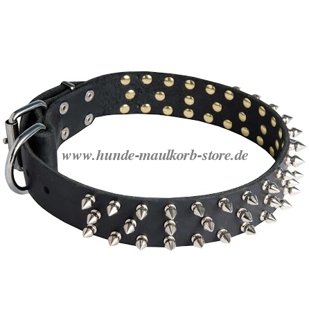 Breites Hunde Lederhalsband für Malinois