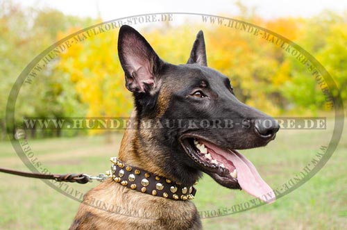 Luxus-Design Hundehalsband aus Leder für Malinois