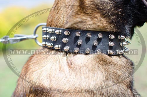 Design Hundehalsband aus Leder mit Spikes für Malinois