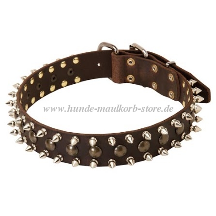 Leather Dog Collar Spiked and Studs for Malinois