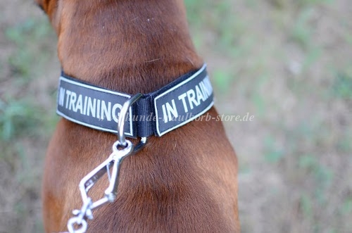 Boxer Hundehalsband Nylon