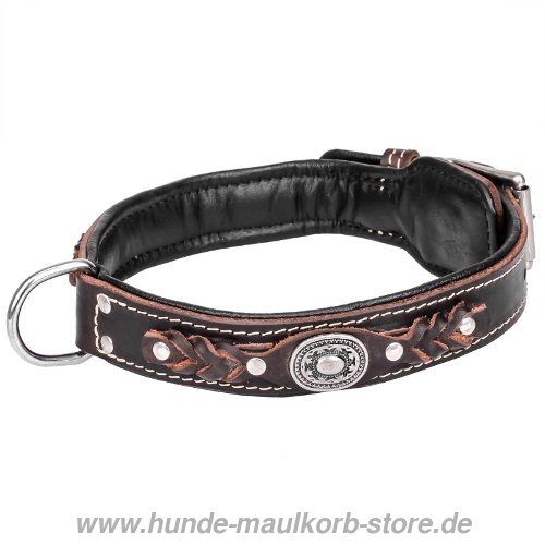 
 Hunde Halsband Breit mit schwarzer Fuetterung