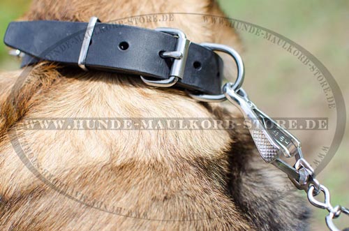 Design Leder Hundehalsband mit Spikes für Malinois