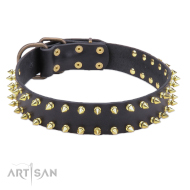 Robustes Halsband aus Leder mit Messing Spikes an beiden Kanten