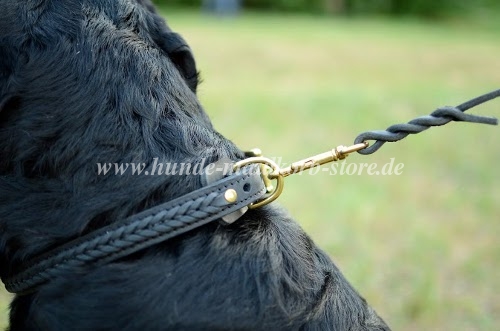 Rottweiler leather dog collar with braids design