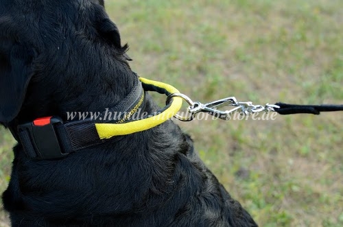 Rottweler dog collar nylon order easily