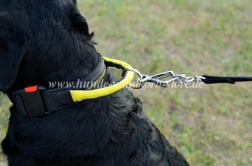 Rottweler Hundehalsband Nylon bequem