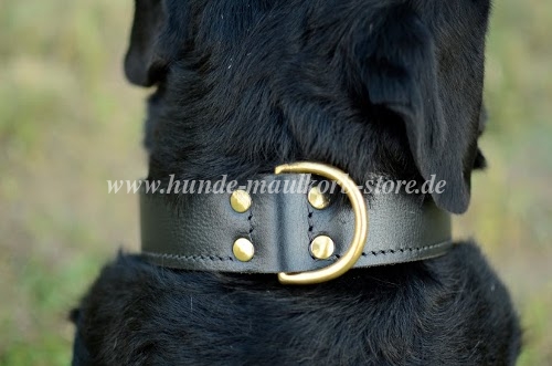 Rottweiler Leather Dog Collar for agitation