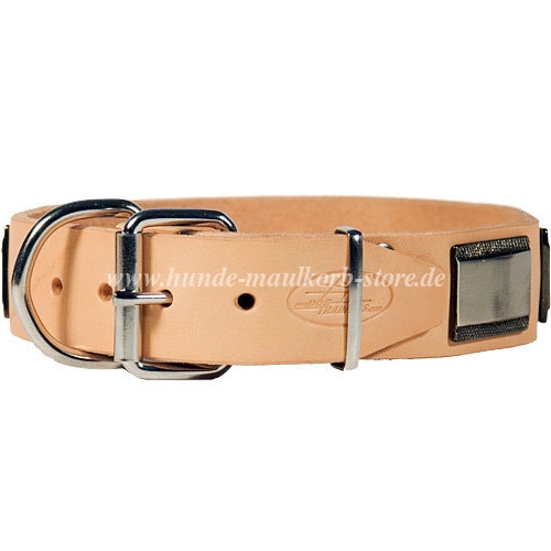 Dobermann Hundehalsband in Tan Farbe