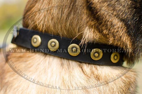 Design Hundehalsband aus Leder mit kleinen Kreisen für
Malinois