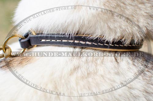 Design Hundehalsband für Gehorsam