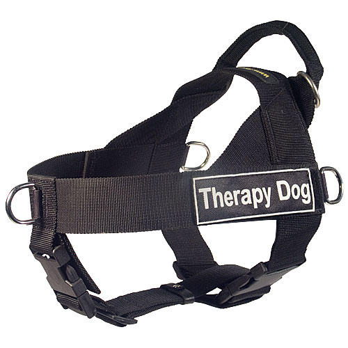 Harness with Therapy Dog Patch