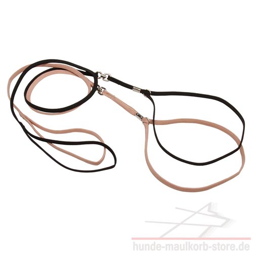 Long and light nylon lead plus nylon collar