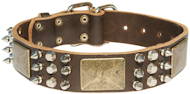 Gorgeous spiked leather dog collar with brass massive plates