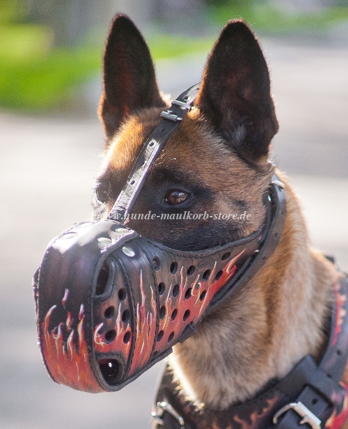 Malinois Maulkorb mit Flamme Muster