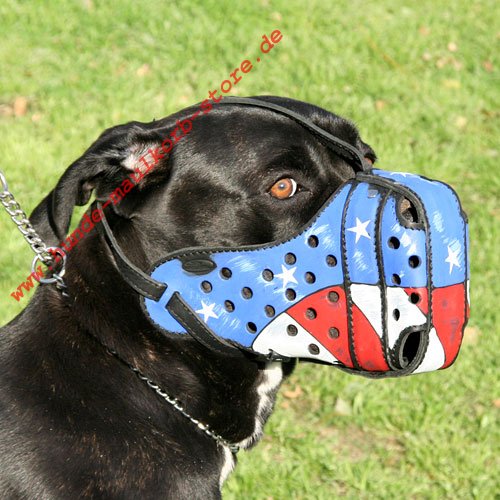 Cane Corso Maulkorb mit Muster