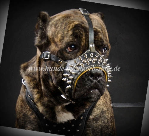 Cane Corso Ledermaulkorb Hund mit Stacheldraht Muster