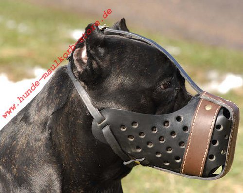 Cane Corso Maulkorb Leder