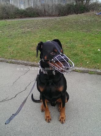 Dobermann Maulkorb Metall