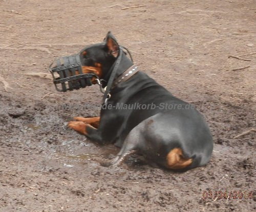 Leichter Maulkorb für Dobermann