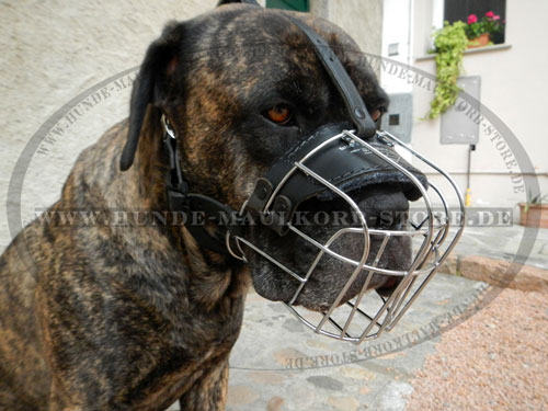 Cane Corso Drahtmaulkorb kaufen