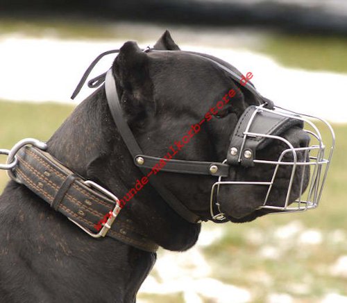 Maulkorb Cane Corso aus Draht