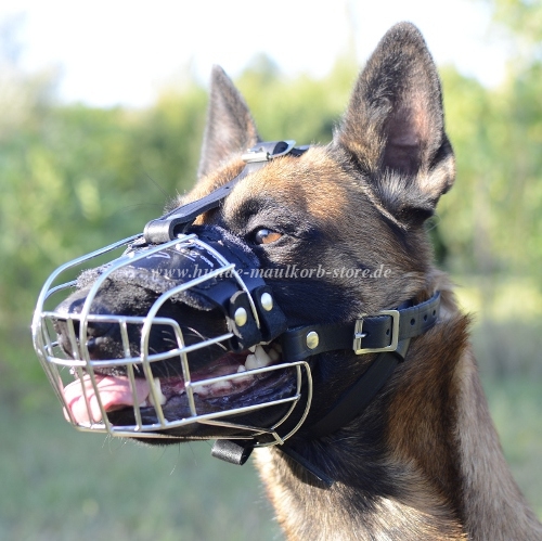 Malinois Maulkorb Hund aus Draht