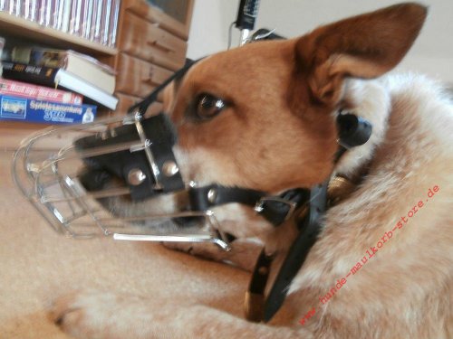 Metal Muzzle for Hund