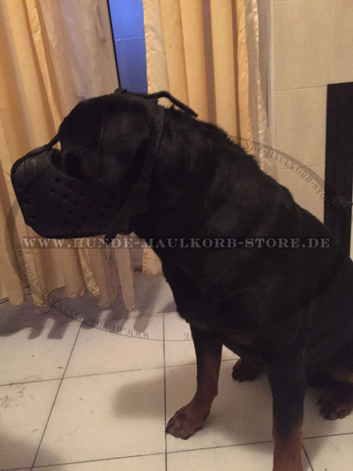 Hundemaulkorb für Rottweiler Hund