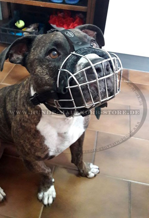 Pitbull Terrier Maulkorb aus Metall kaufen