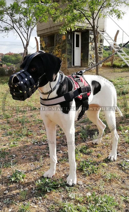 großer Hundemaulkorb kaufen