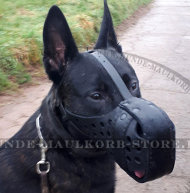 Large breeds leather Dog Muzzle "Dondi plus"