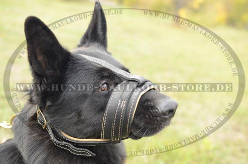 Hunde Maulkorb gegen Bellen