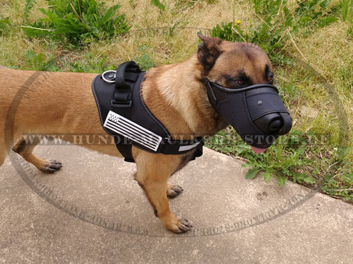 Malinois Schutzhund K9 Nylon Maulkorb