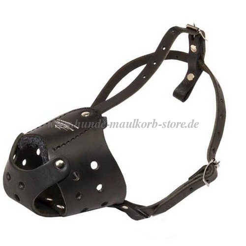 all day leather muzzle